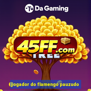 jogador do flamengo pauzudo